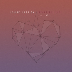 Beautiful Life (feat. sky) - Single