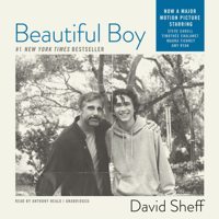 Beautiful Boy: A Father’s Journey through His Son’s Meth Addiction - David Sheff Cover Art
