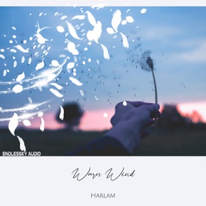 Warm Wind - Single