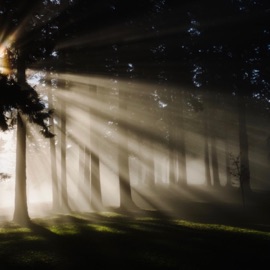 Can't Buy Love Biggz