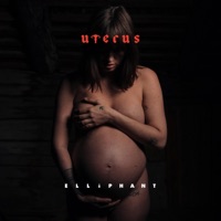 Uterus - Single - Elliphant