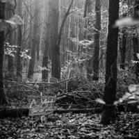 Nah - Single - Jacobi Ryan