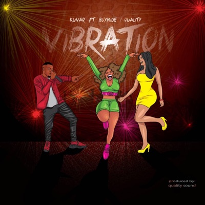 Vibration (feat. Boymide & Quality) - Single