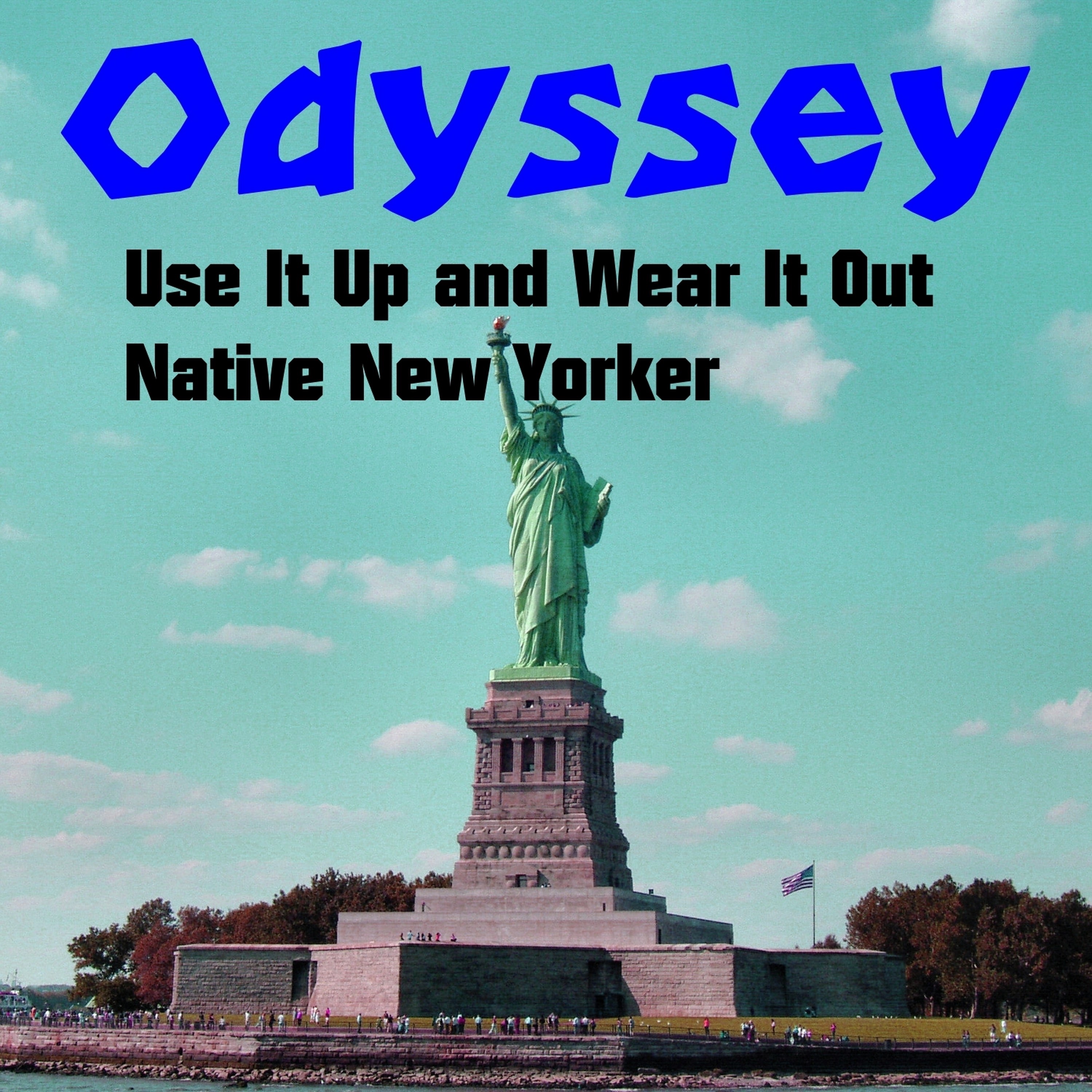 Use It up and Wear It Out - Single