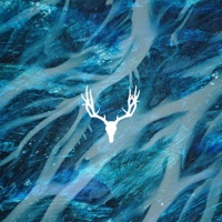 Ambient Express - EP - Thomas A.S.