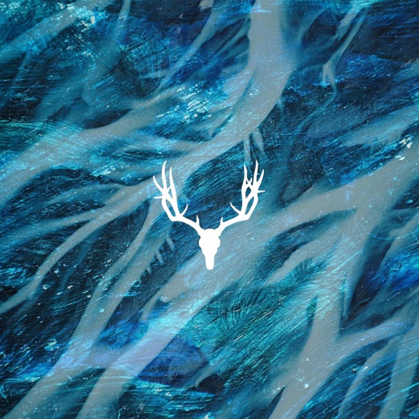 Ambient Express - EP