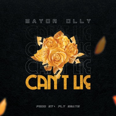 Can't Lie - Single