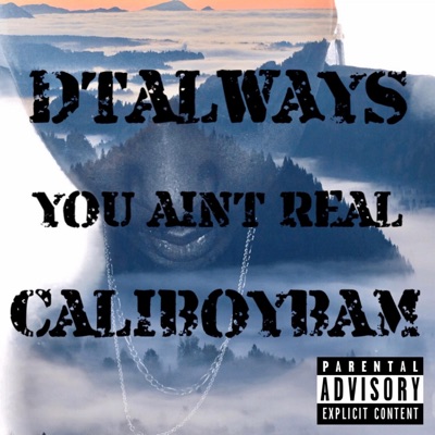 You Ain't Real (feat. Caliboybam) - Single