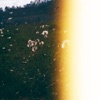 Żurawie - 002