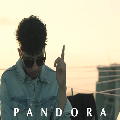 Pandora - Single - Silly