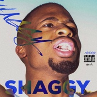 Shaggy - Single - Neek