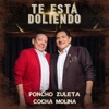 Te Está Doliendo - Single