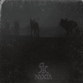 Nixta artwork