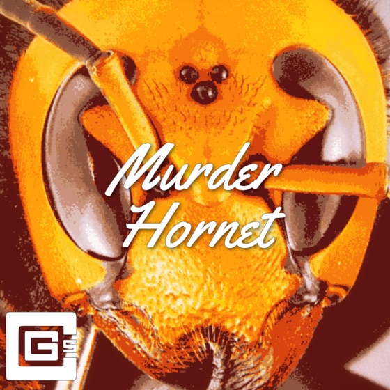 Cover artwork for Murder Hornet