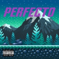 Perfecto (feat. Shamil) - Single - Jaiswiz