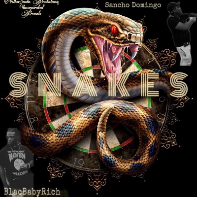 Snakes (feat. Blac Baby Rich) - Single