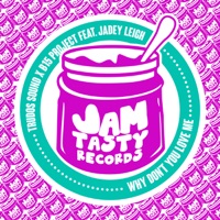 Why Don't You Love Me (feat. Jadey Leigh) - Single - B15 Project & Trudos Sound