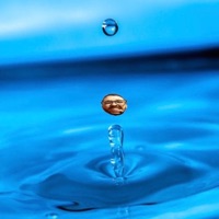 Drip Drop - Single - Savegabe