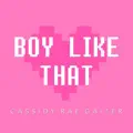 Boy Like That