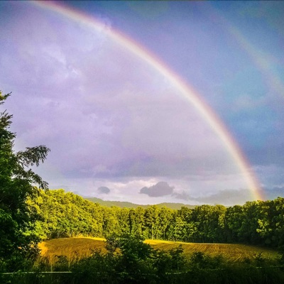 Like Sunshines & Rainbows (feat. Implor) - Single