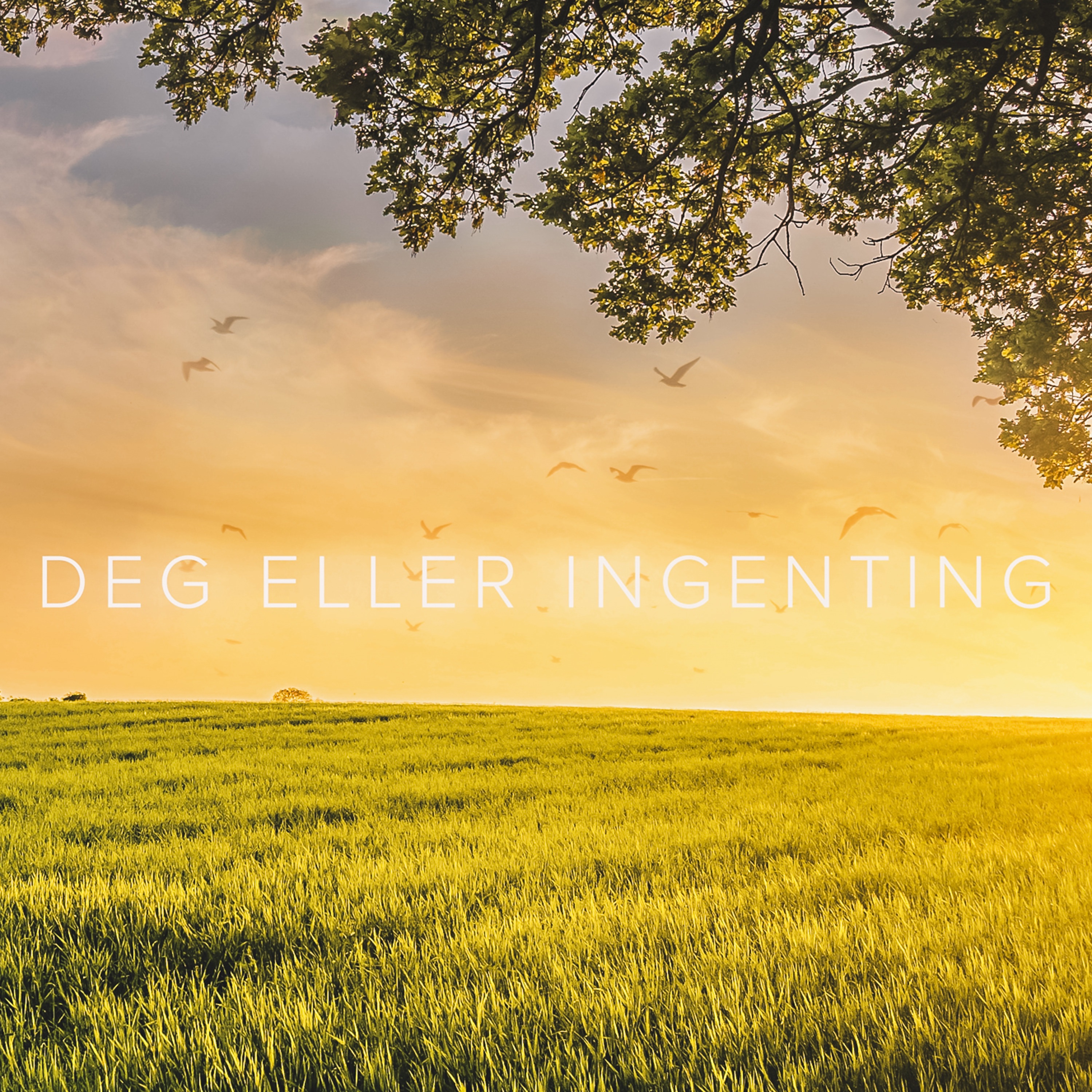 Deg Eller Ingenting - Single
