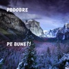 PBdobre - Pe Bune?!