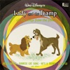 Lady