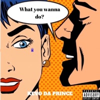 What You Wanna Do - Single - Kevo Da Prince