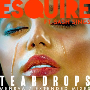 Teardrops (Remixes) [feat. Sash Sings] - Single
