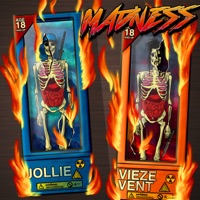 Madness (feat. Jollie) - Single - Vieze Vent