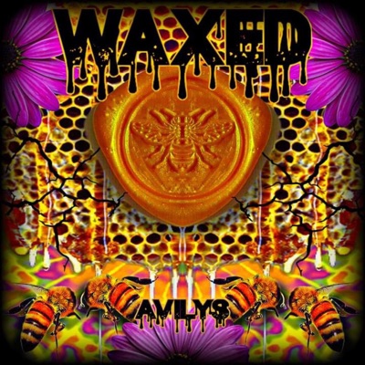 Waxed - EP