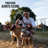 Always Flexing - Single - Pablo Kush