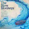 The Blow Monkeys - Crying for the Moon