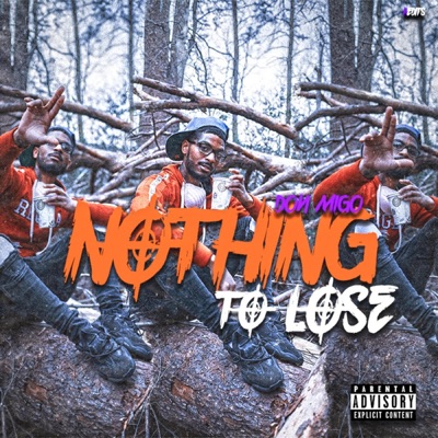 Nothing to Lose - Single