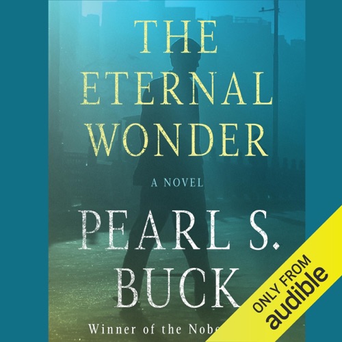 The Eternal Wonder: A Novel (Unabridged) cover