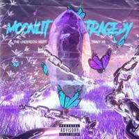 Moonlit Tragedy - The Underdog Misfit