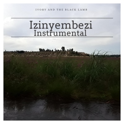Izinyembezi (Instrumental) - Single