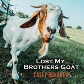 Lost My Brothers Goat artwork