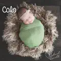 Colo