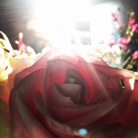 Arms of Love (feat. Shimshai & Aimée Ringle) Alexa Sunshine Rose