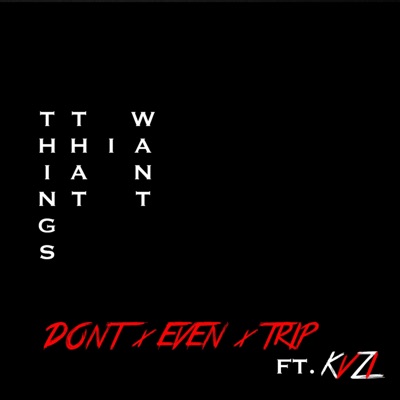 Things That I Want (feat. Kvzi) - Single