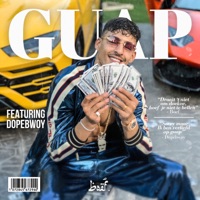 GUAP (feat. Dopebwoy) - Single - Boef