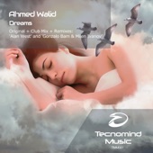 Dreams (Radio Edit) artwork