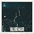 Valuri mari