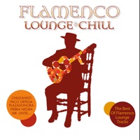 Tierra (Luis Junior Flamenco Mix)