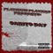 Turtle (feat. C Dub) [Dub] - Platinum Players lyrics