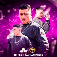 Se Quer Guerra Tu Terá (feat. DJ FLS & Kauhan Peres) - Single - Mc Wesly