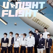 U-Night Flight artwork