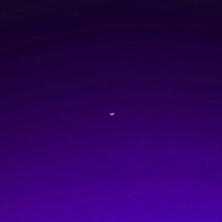 Senses (feat. Suckerpunk) - Single - Sol Jay