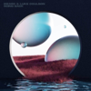 Going Back (feat. Coulson) - Dizaro